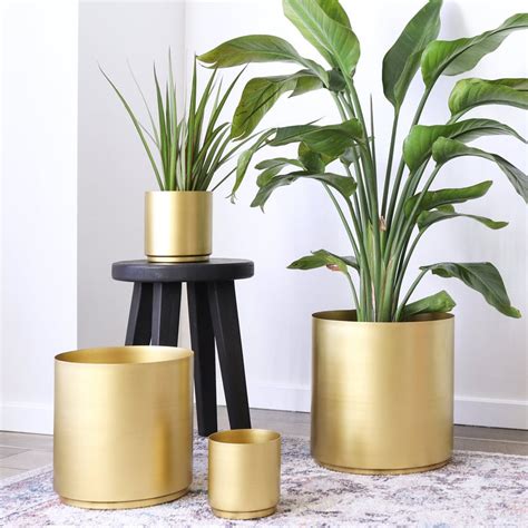 house plants in metal pots|decorative metal pots for plants.